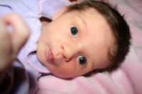 IMG_6505.JPG