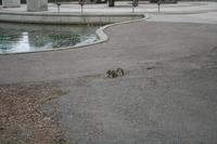 IMG_6459.JPG