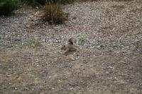 IMG_6462.JPG