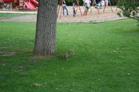 IMG_6464.JPG