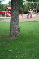 IMG_6465.JPG