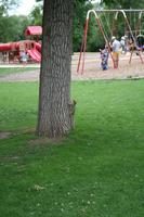IMG_6466.JPG