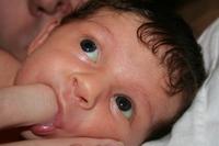 IMG_6486.JPG