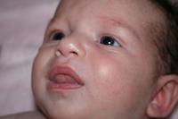 IMG_6693.jpg