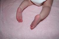 IMG_6707.jpg