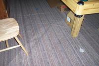 dcp_0229.jpg