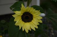 img_0251.jpg