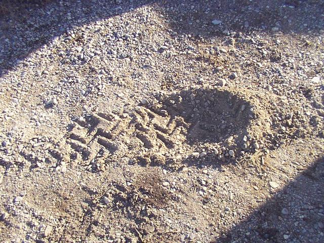 Whoops.  EASY to dig holes with the Terras in the driveway