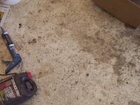 Painted shop floor is holding up well.