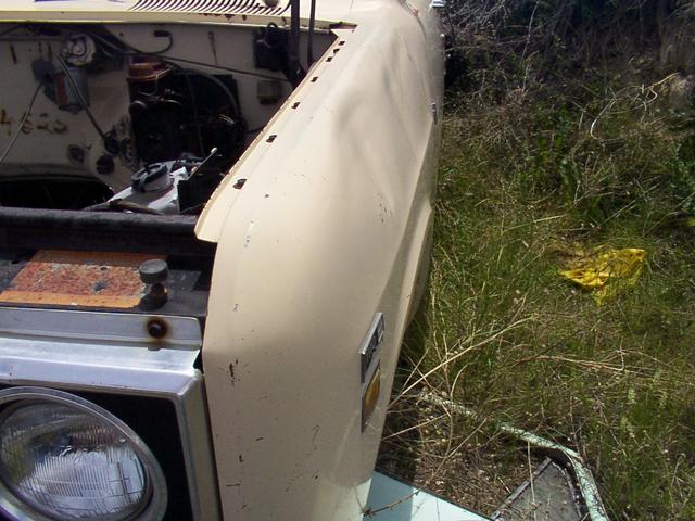 dcp_0026.jpg