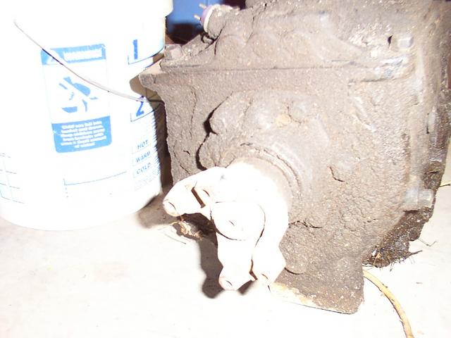 DCP_0007.JPG