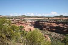 IMG_0600.JPG