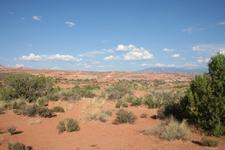 IMG_0841