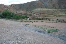 IMG_0957