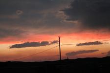 IMG_0981