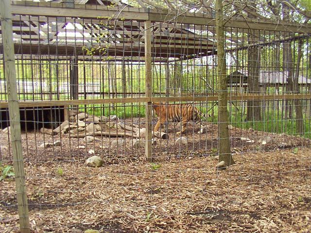 DCP_0058.jpg