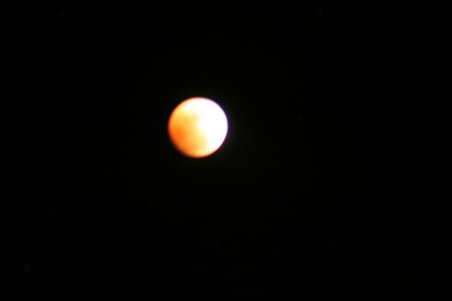 img_3803