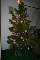 December 3rd, 2007 - Christmas Tree