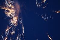 IMG_9181