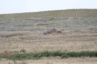 IMG_0324