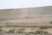 IMG_0326