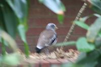 IMG_2858