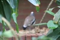 IMG_2859