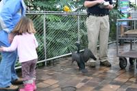 IMG_2899