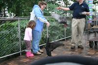 IMG_2905