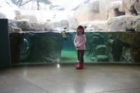 IMG_2966