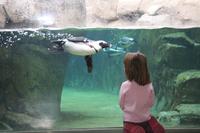 IMG_2976