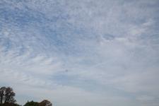 IMG_6417