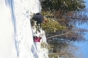 IMG_7274.JPG