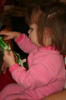 IMG_7579