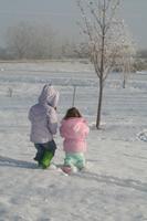 IMG_7630